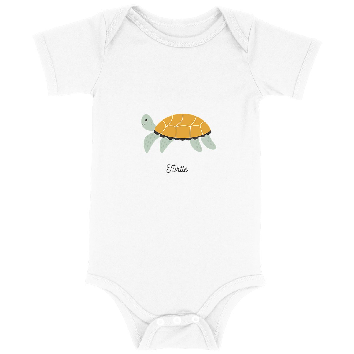 Image back Body "Turtle"