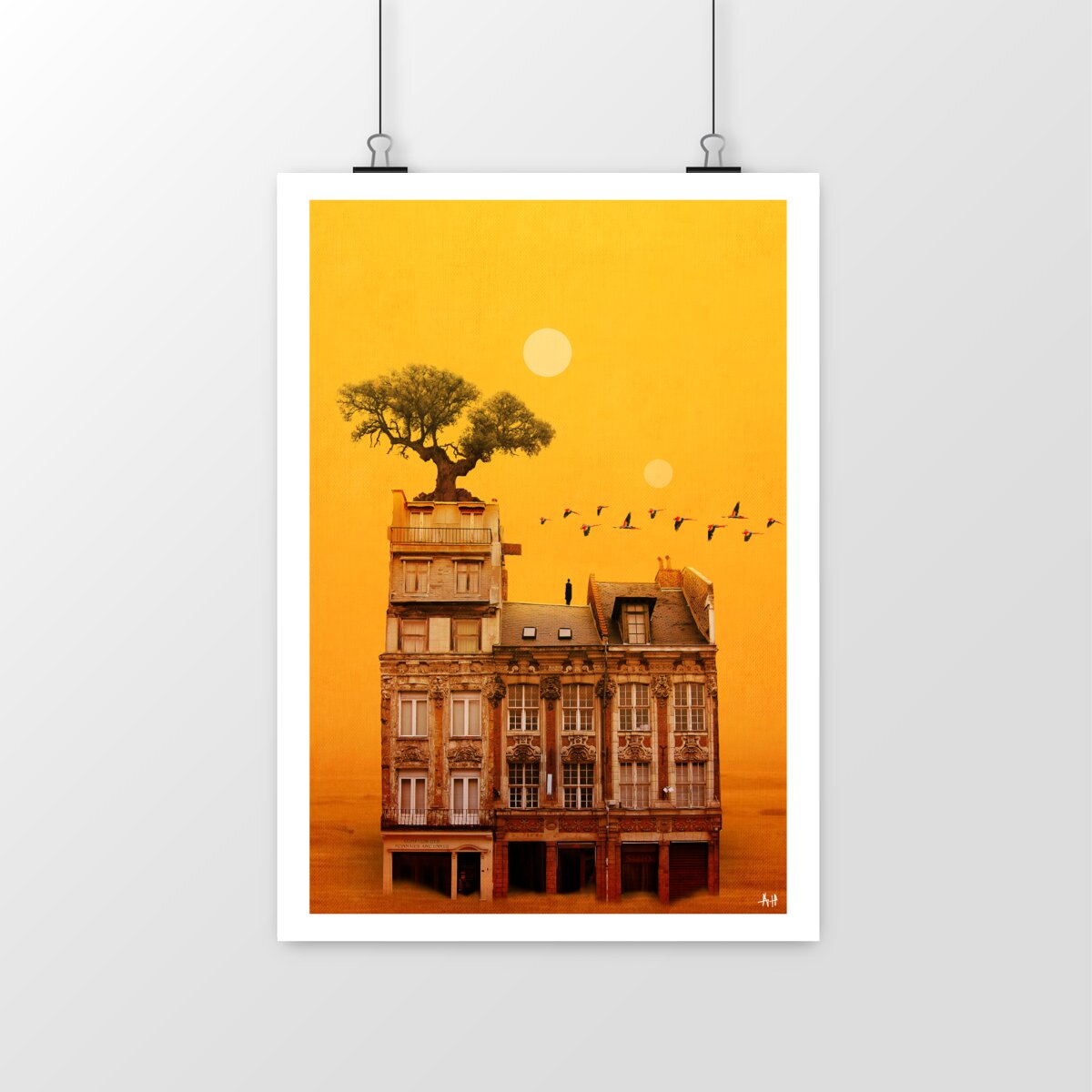 Image front Yellow - Rue esquermoise