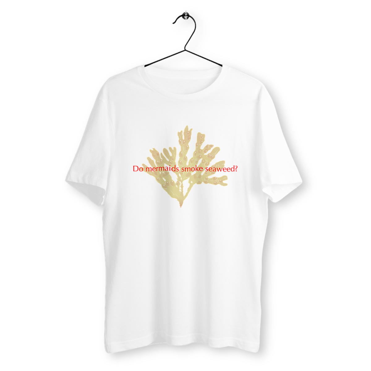 Image back Phaeophyta