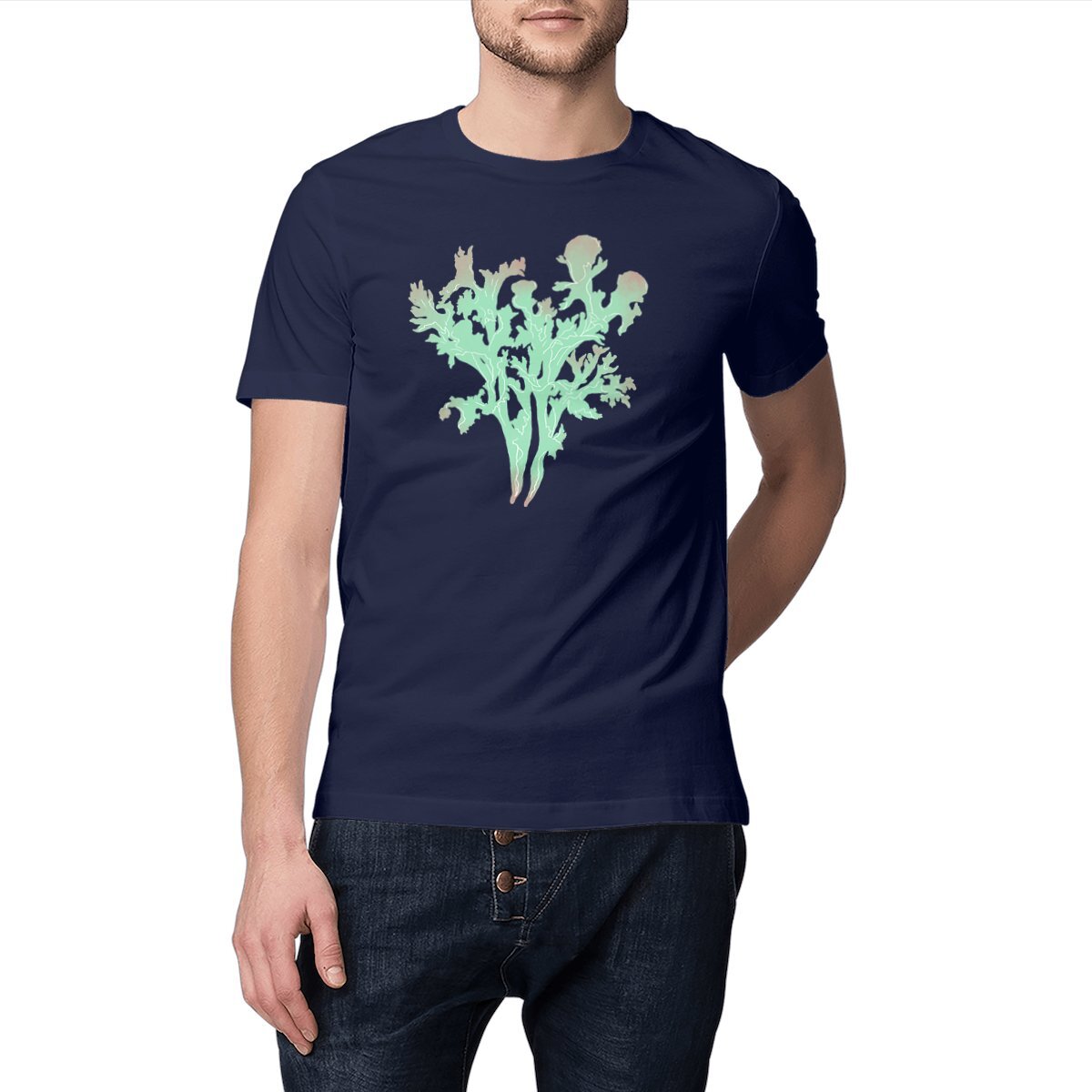 Image front Cetraria