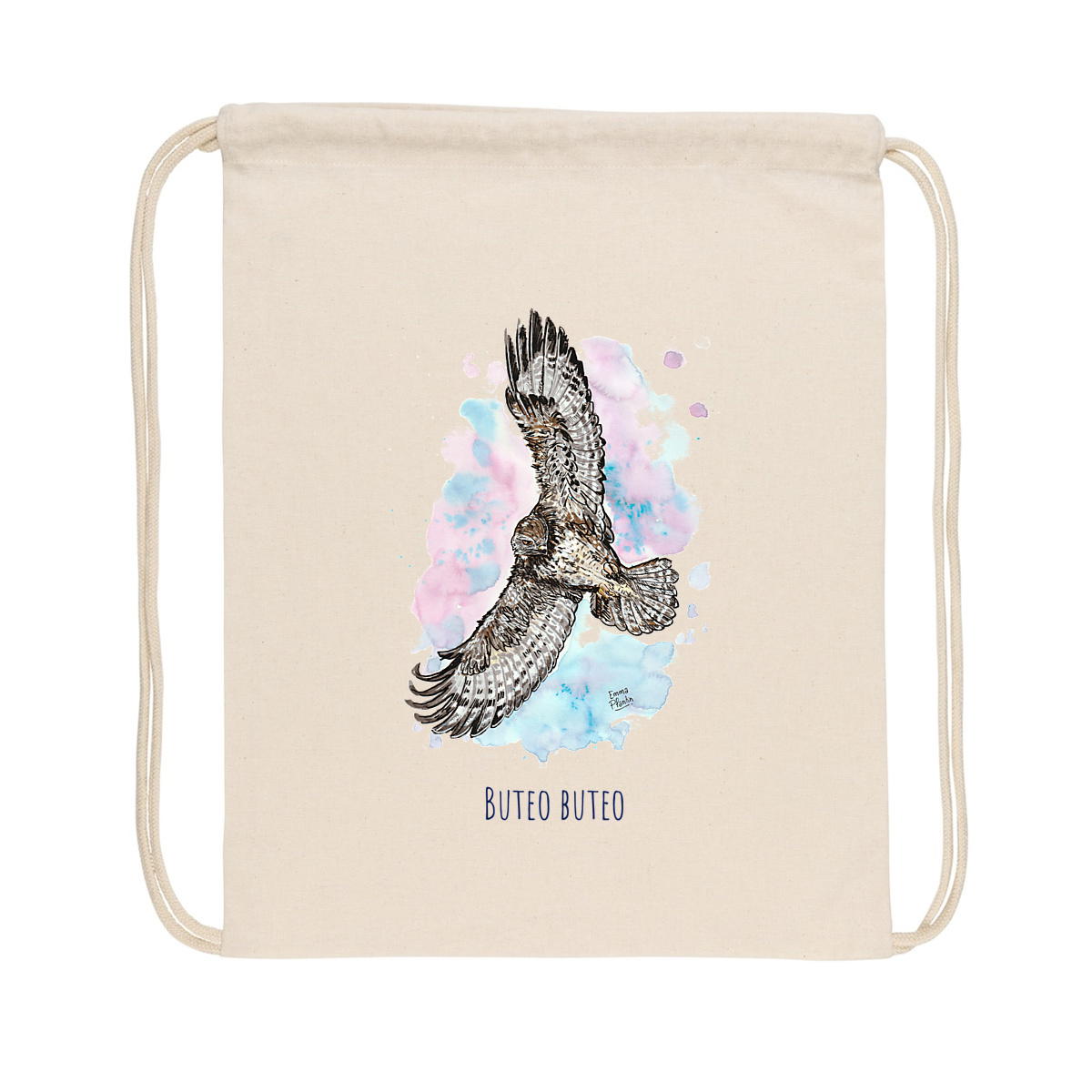 Common Buzzard - Image