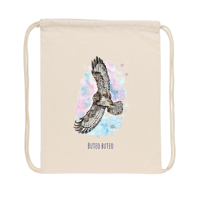 Common Buzzard - Image