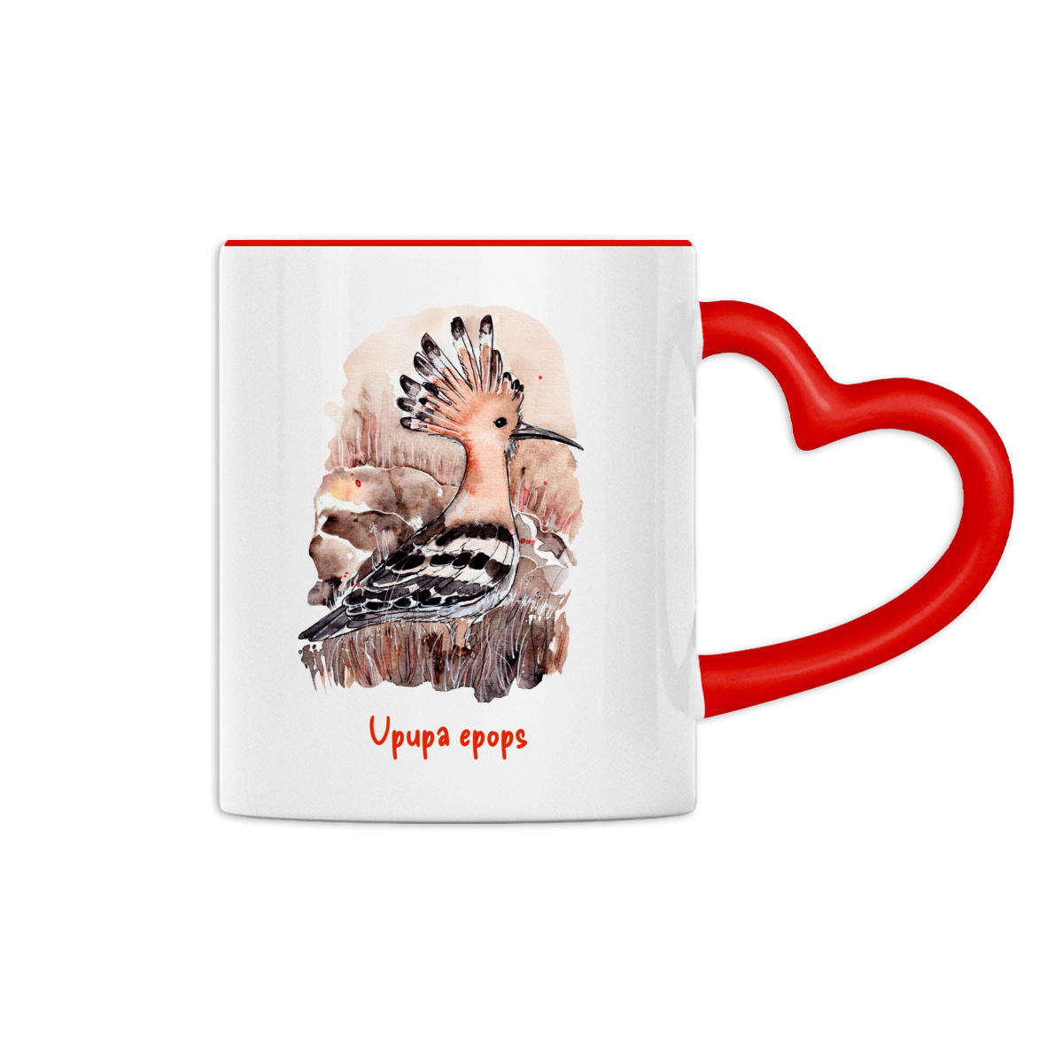 La huppe fasciée - Image