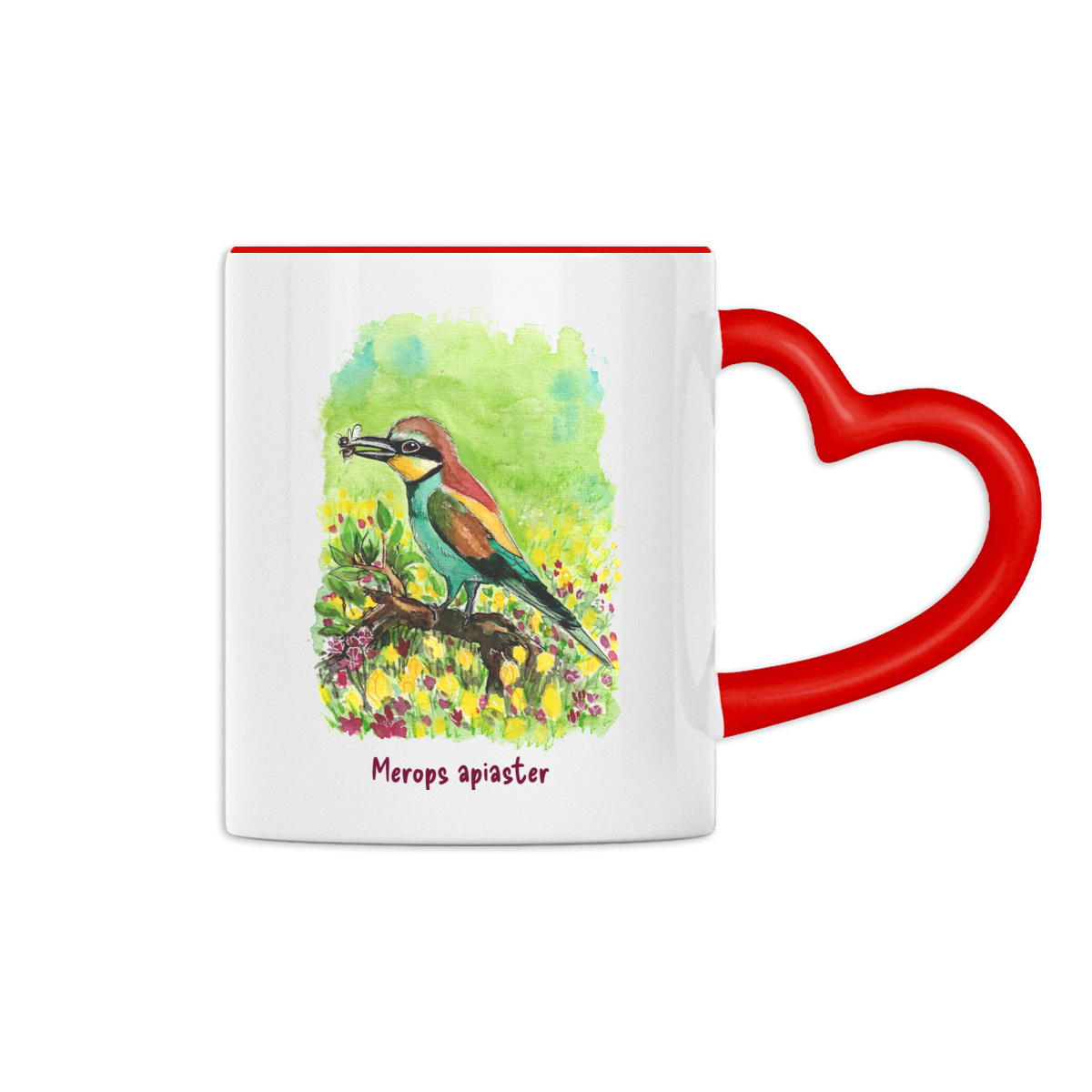 Le guêpier d'Europe - Image