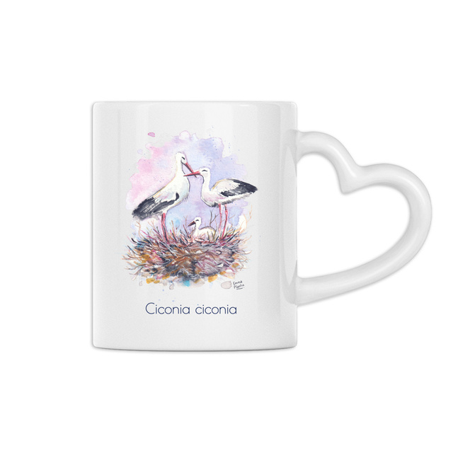 Cigogne blanche - Image