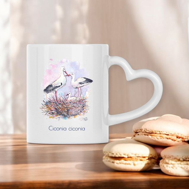 Cigogne blanche