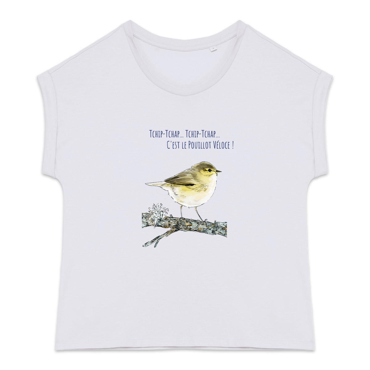 Pouillot véloce - Image