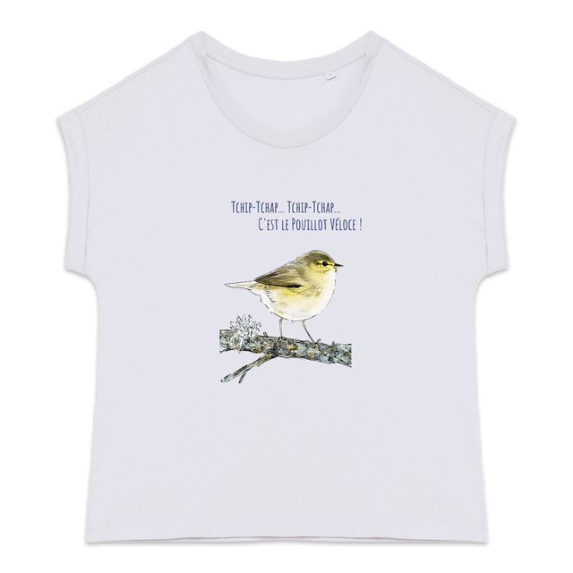 Pouillot véloce - Image