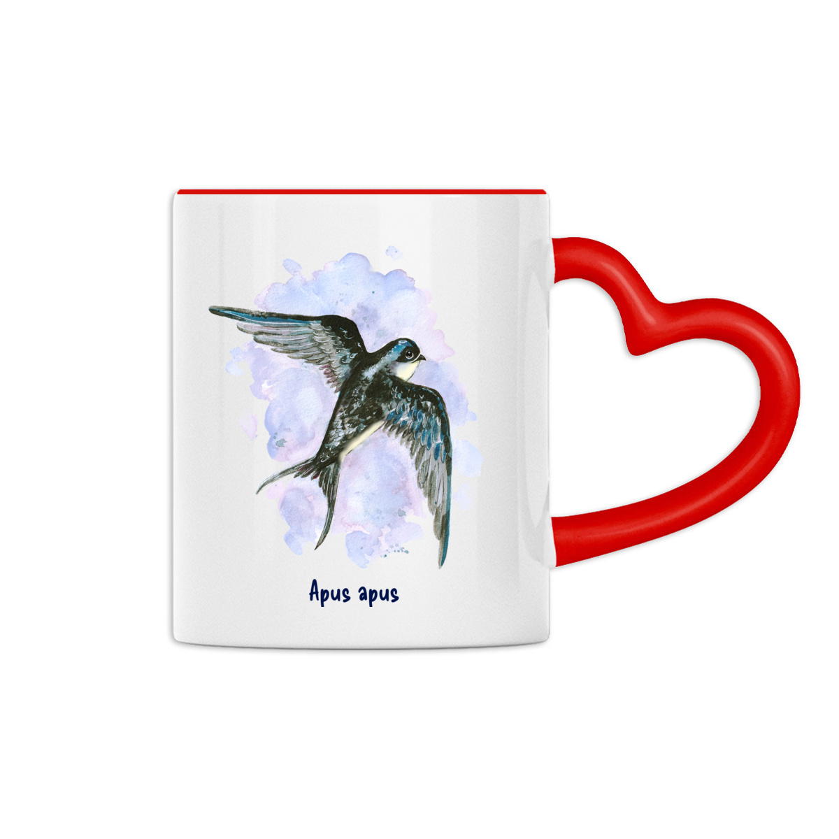 Le Martinet Noir - Image