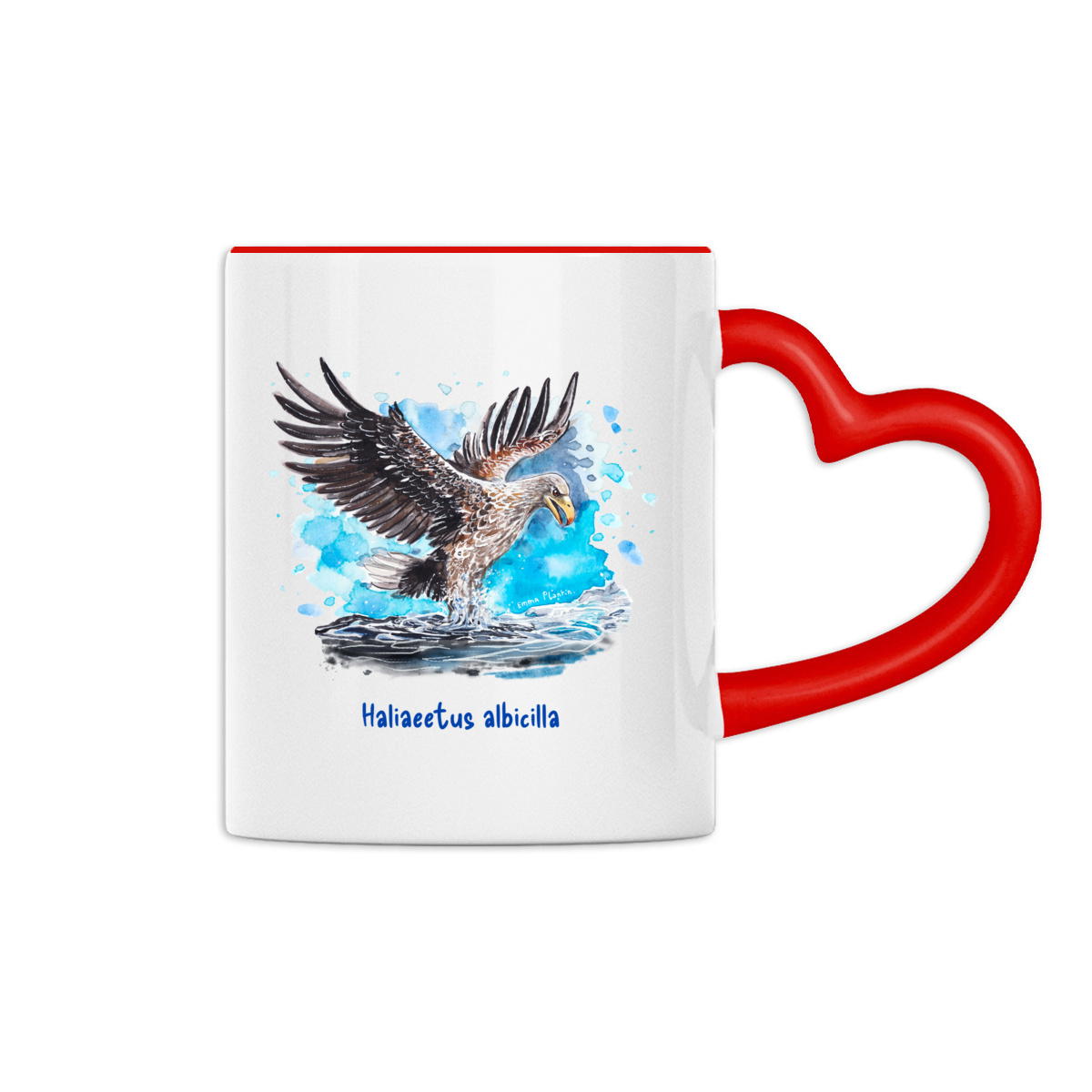 L'aigle de mer - Image