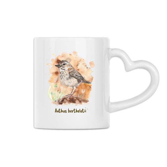 Le Pipit de Berthelot