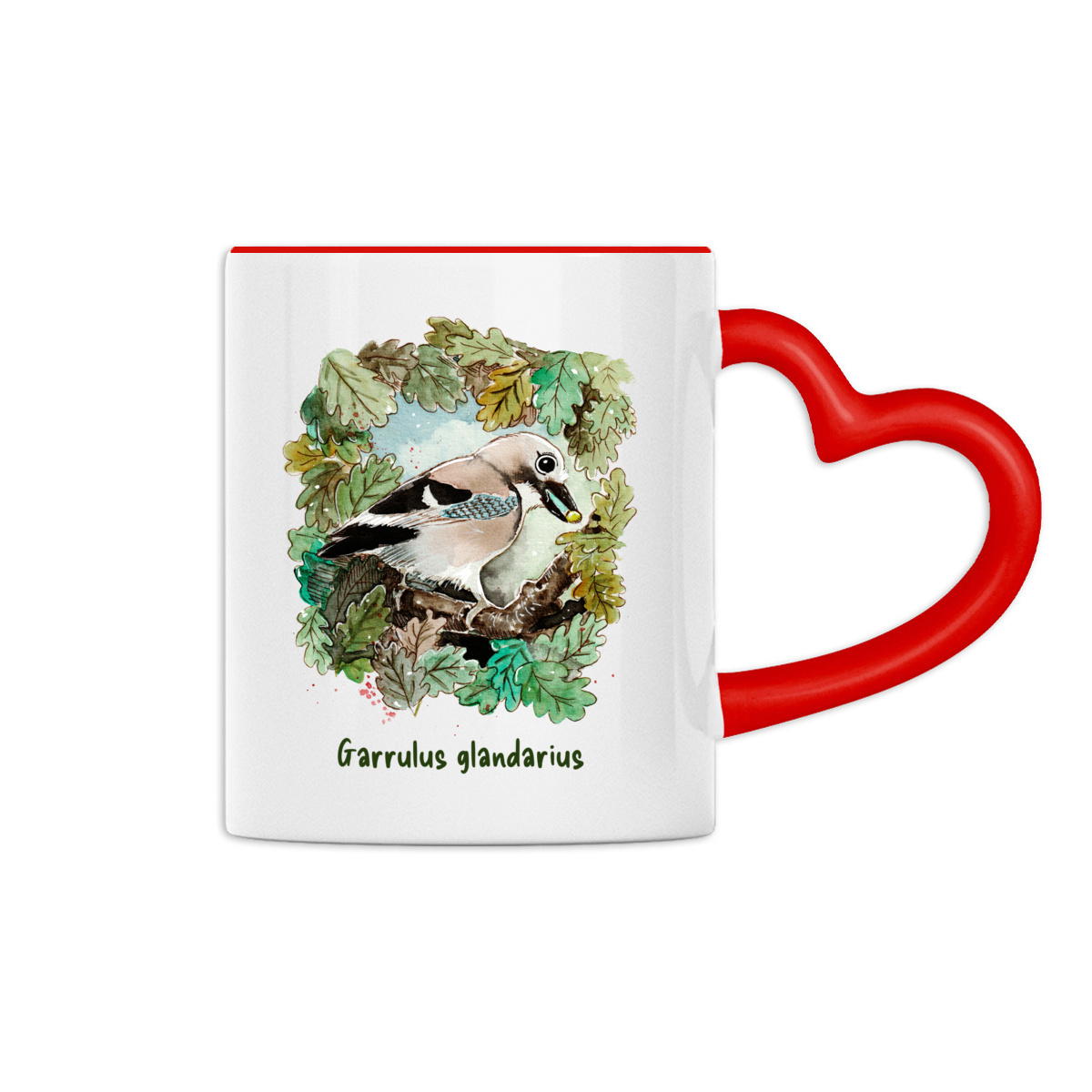 Le Geai des chênes - Image