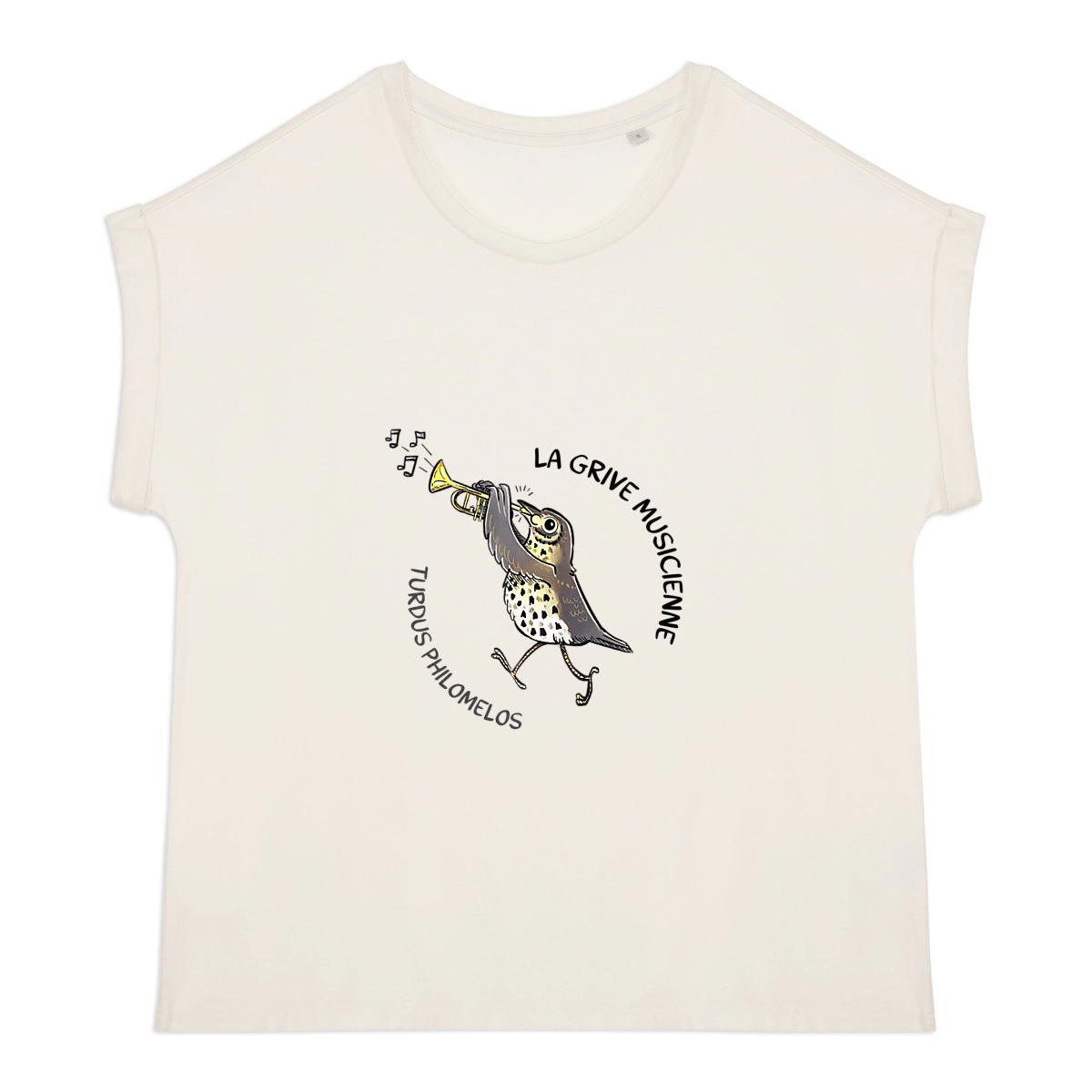 La Grive Musicienne - Image