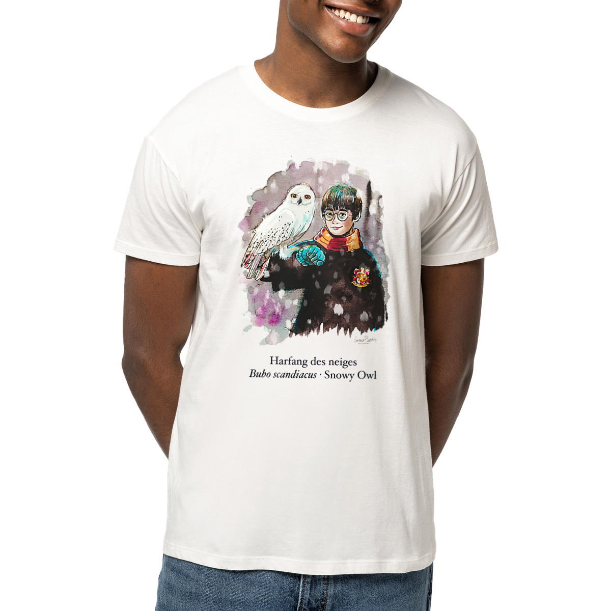 Hedwige - Harfang des neiges