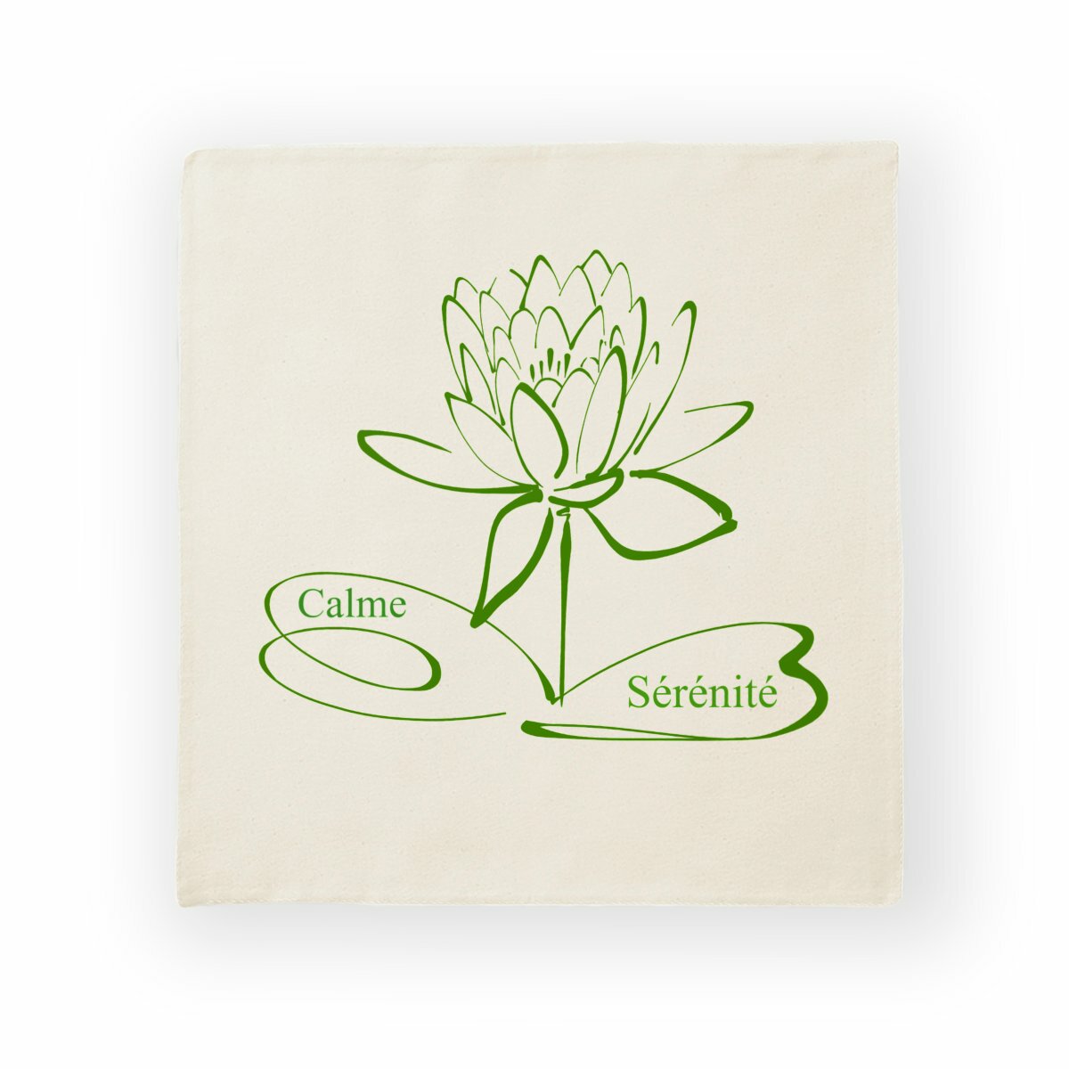 Image back housse de coussin