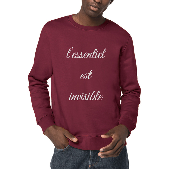 Image front sweat-shirt léger unisexe