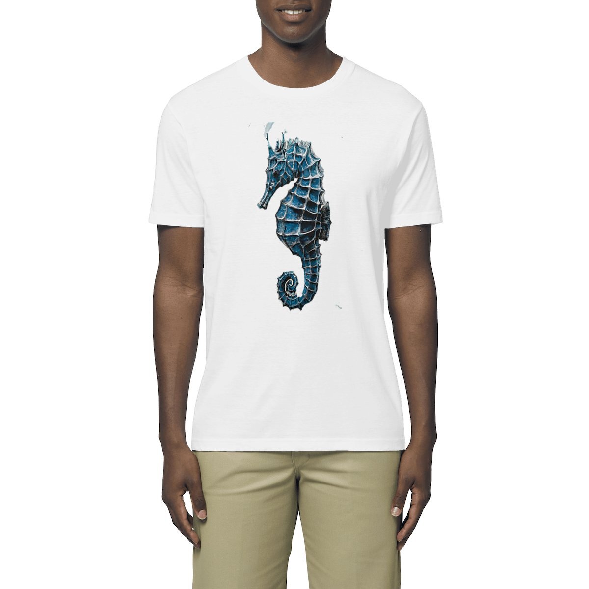 Image front Seahorse