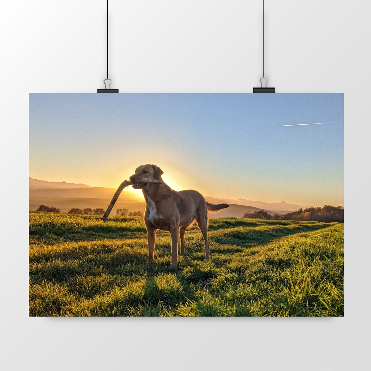 paysage