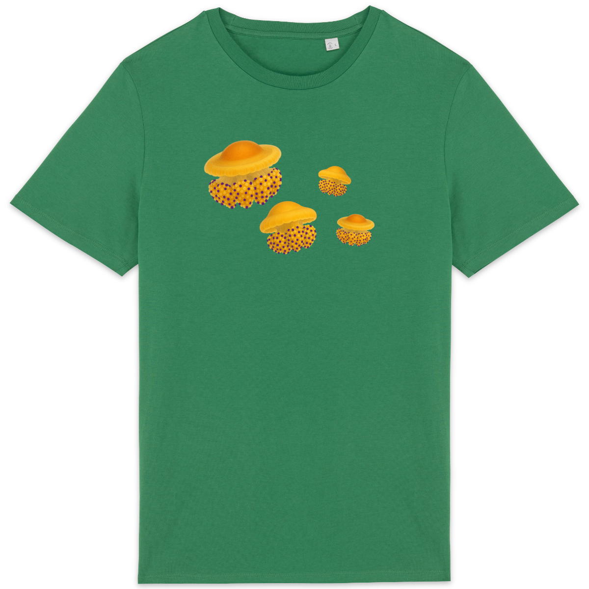 Image back Fried Egg Jellyfish