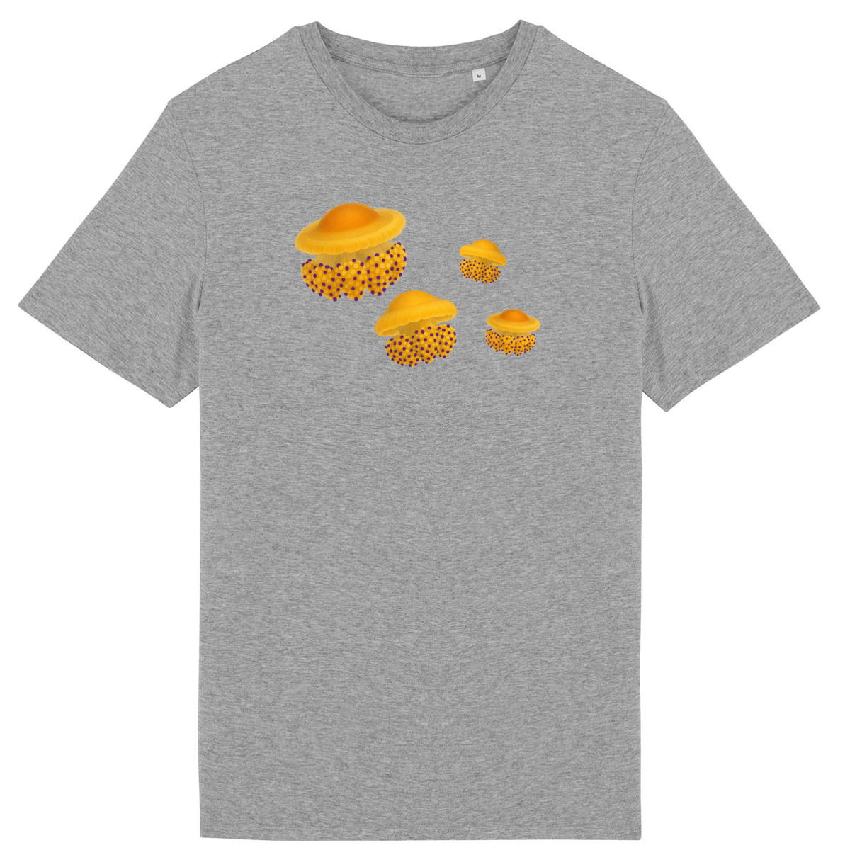 front_5