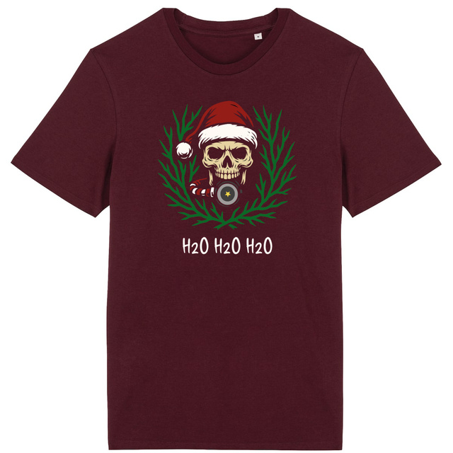 Image back Christmas Skull