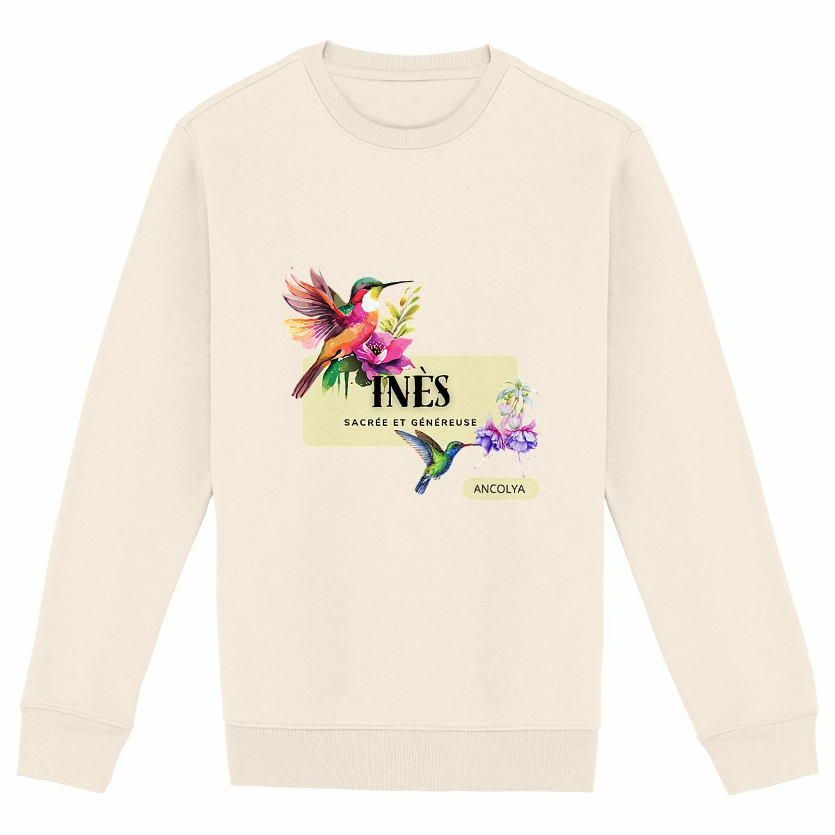 Image front INES