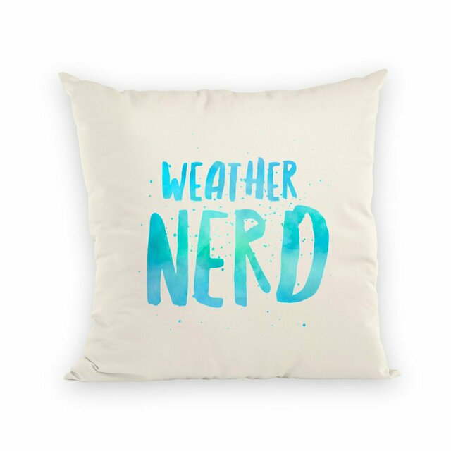 Weather Nerd Throw Pillow - Image
