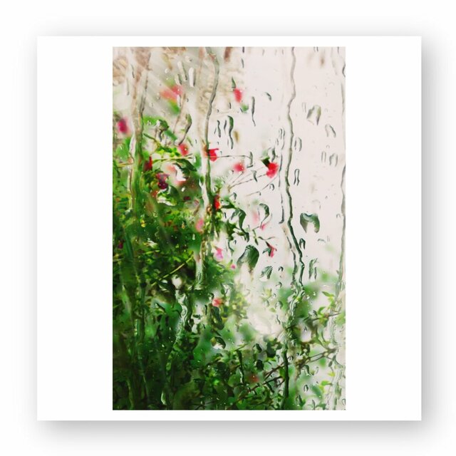 Image front Pluie des matins d’été : autocollant