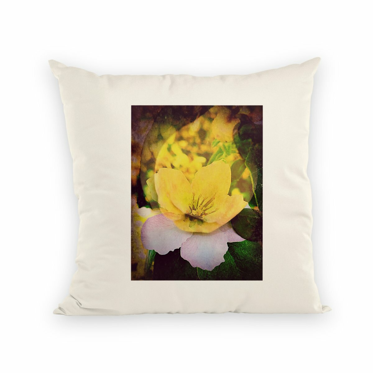 Image back Fruit et fleur : coussin Label commerce équitable