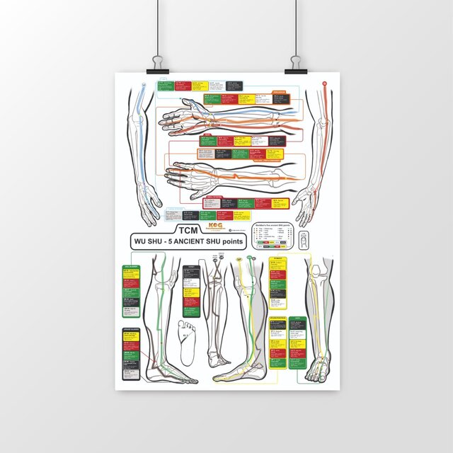 Image front TCM - Five Ancient SHU on bones - 24' x 33,5'