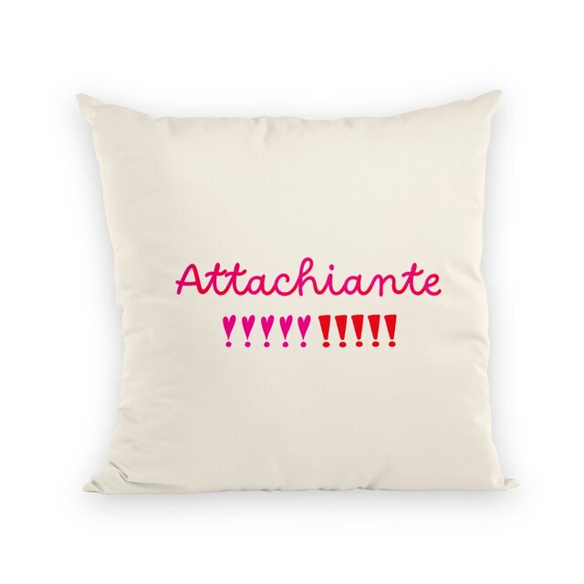 Image back Coussin attachiante