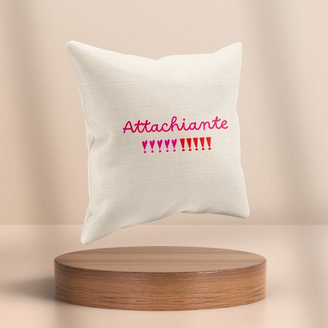 Image front Coussin attachiante