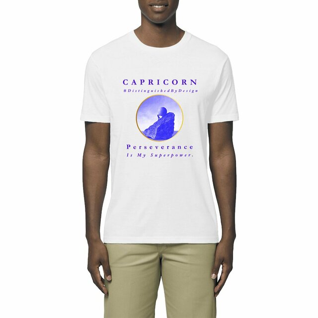 Image front ♑︎ Capricorn Perseverance Lightweight Unisex Organic Cotton Premium Tee
