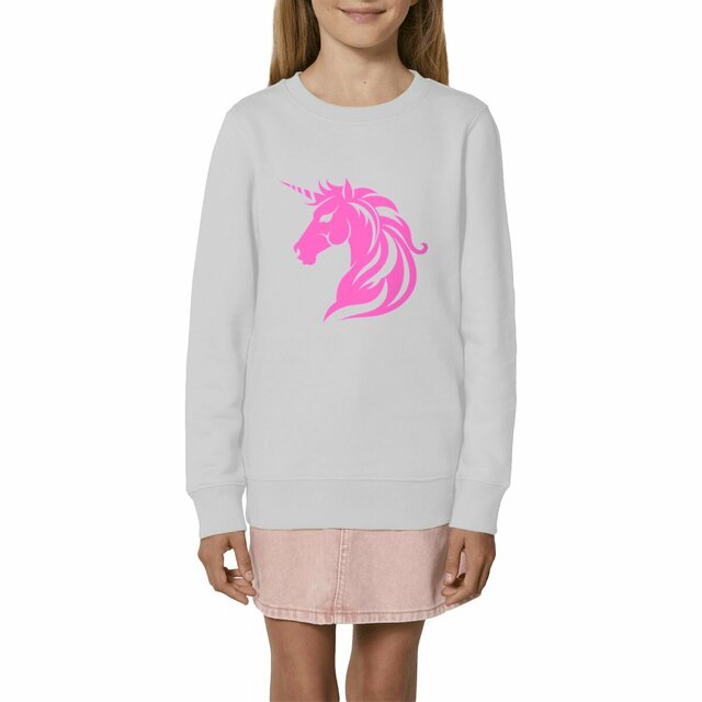 Image front Licorne