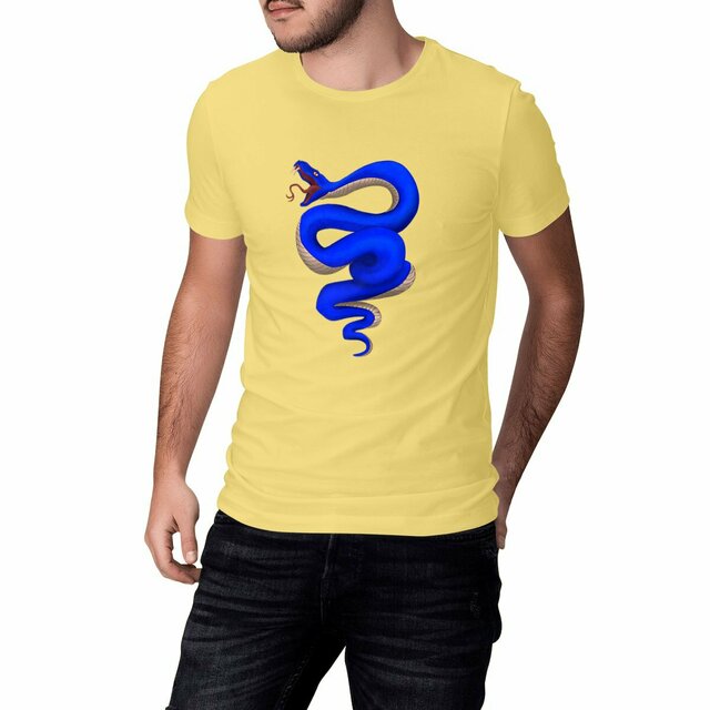 Image front Venin