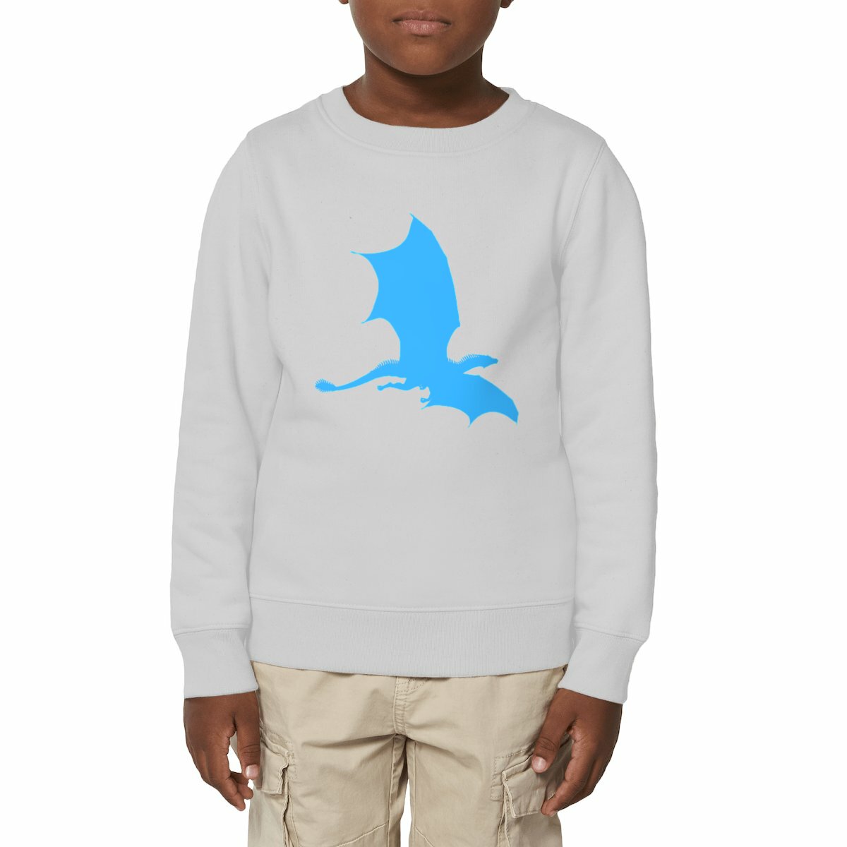 Image front Dragonnier