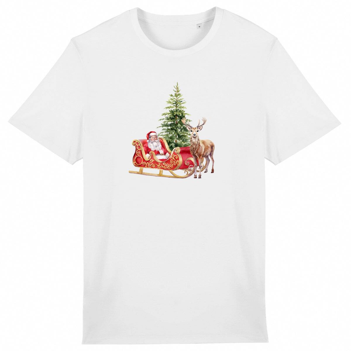 Image front Le Traineau