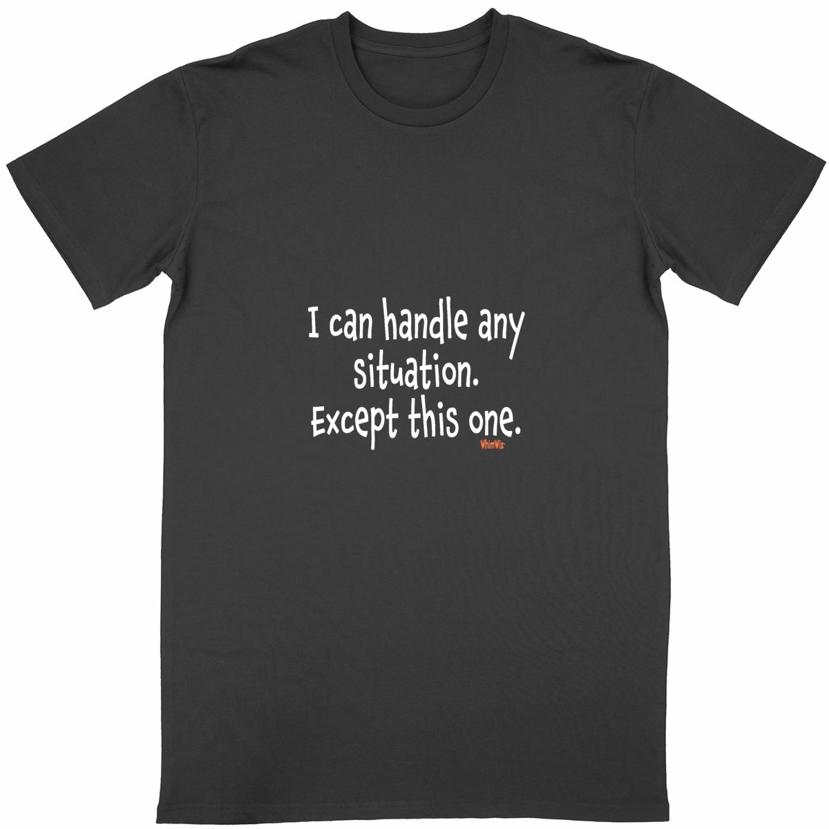 Image front I can handle any situation