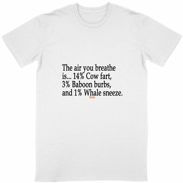 Image front The air you breathe