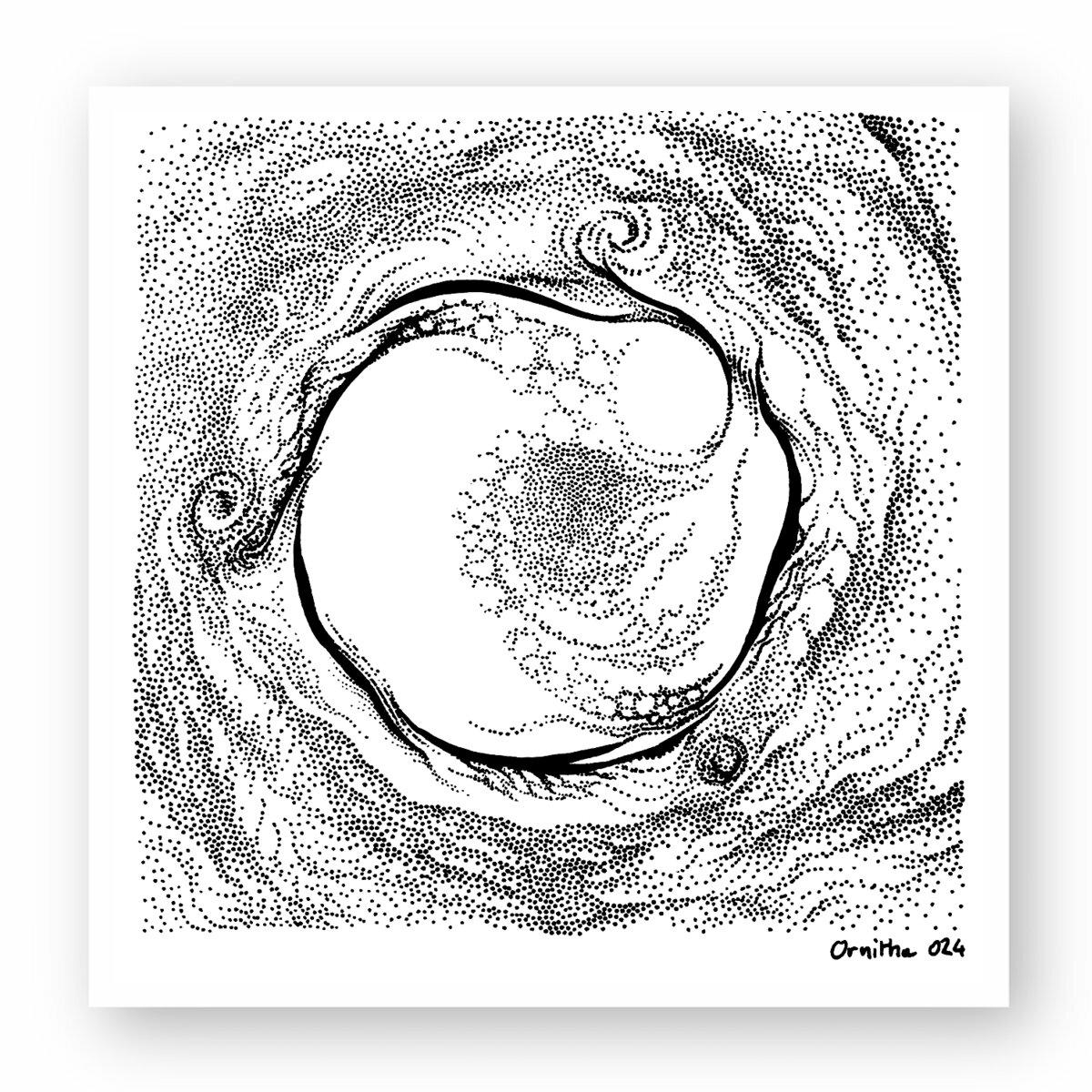 Image front carré organique, autocollant 