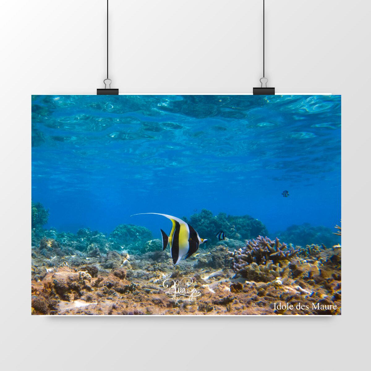 Image front Poster idole des maures 