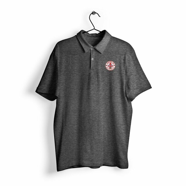 Image back Polo Homme _ GB blanc