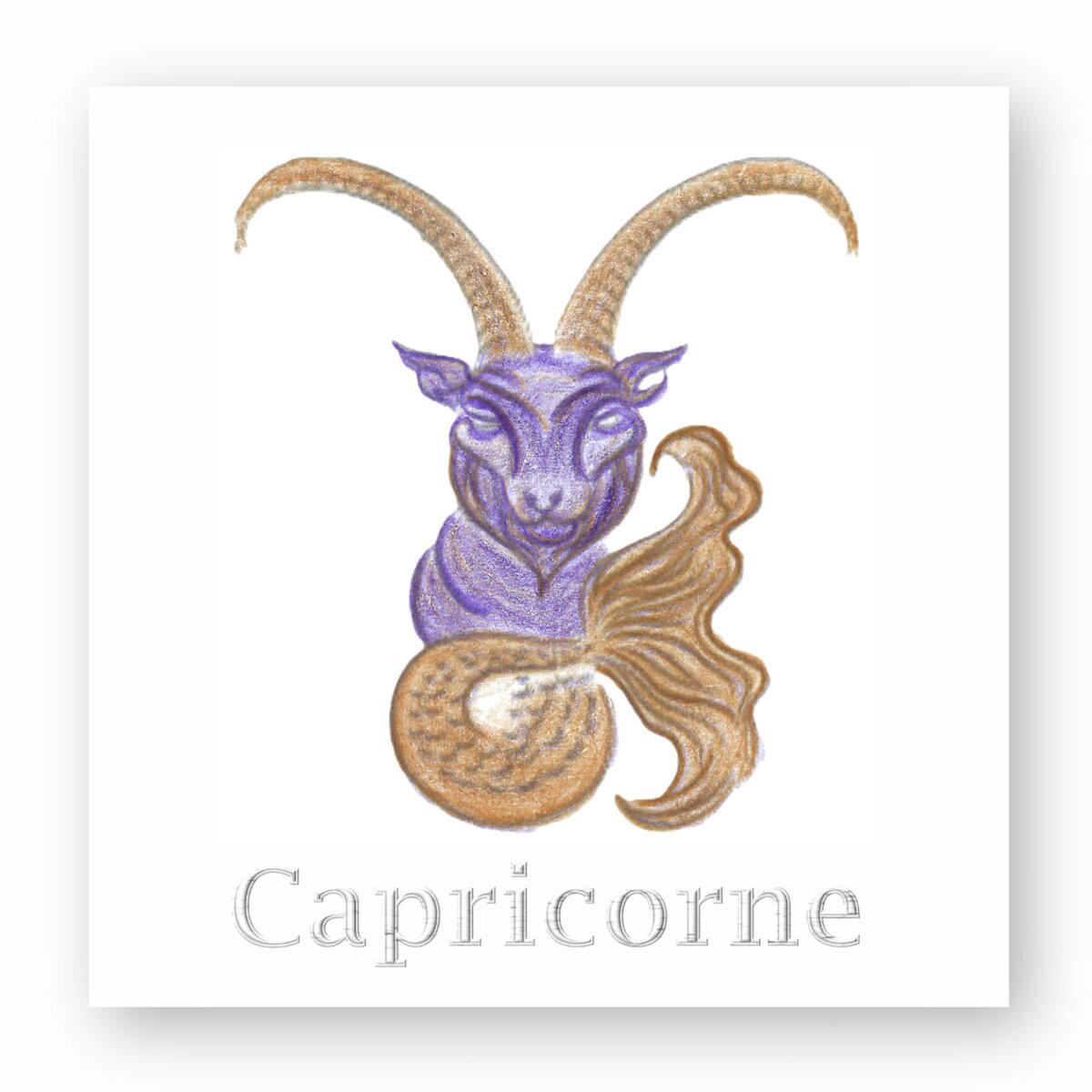 Image front Sticker | EzoTer’Ik | Capricorne