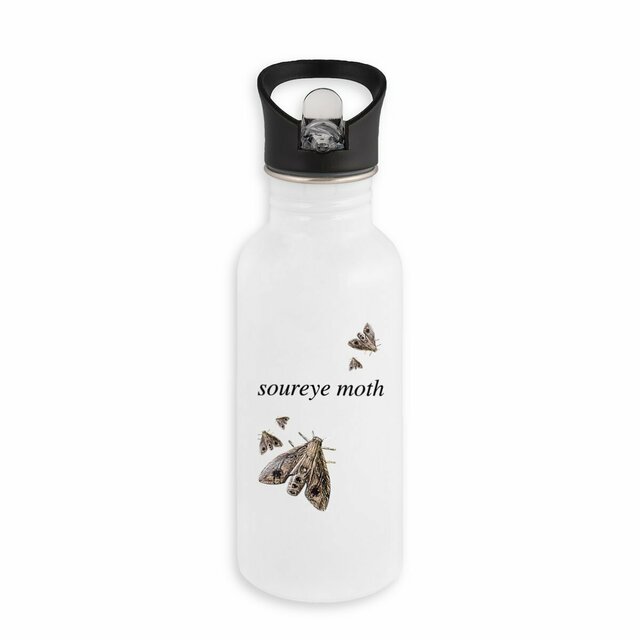 Image back Soureye moth - stainless steel water bottle with straw