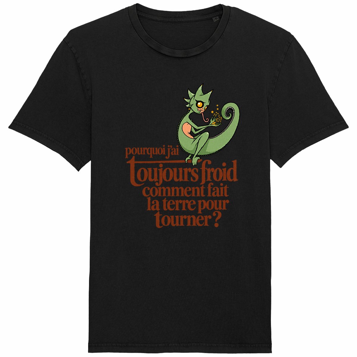 T-shirt effet vintage Bisolaire - caméléon fantastik - Image