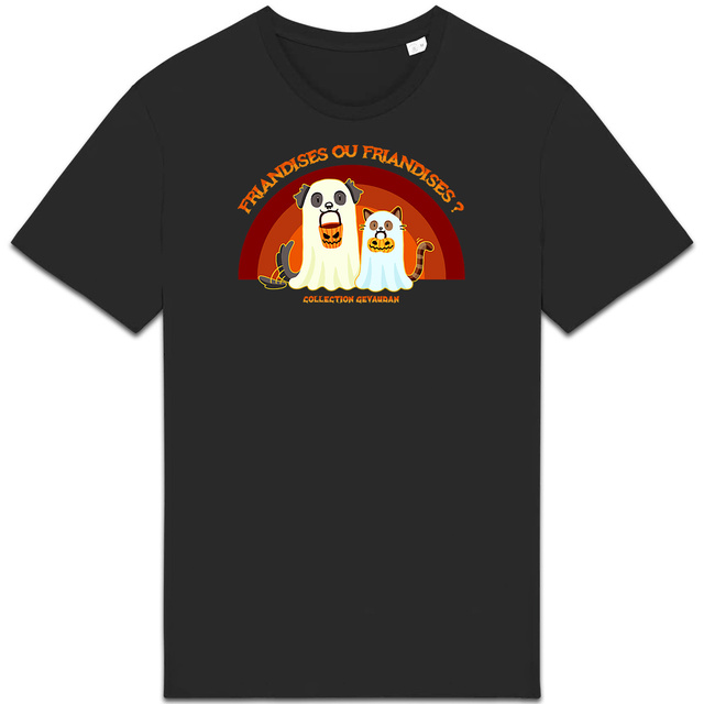 Image back T-Shirt BIO Friandises ou Friandises