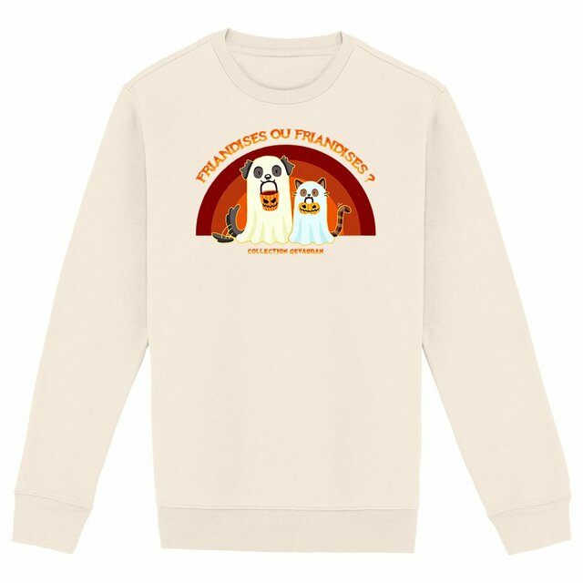 Image front Sweatshirt Friandises ou Friandises