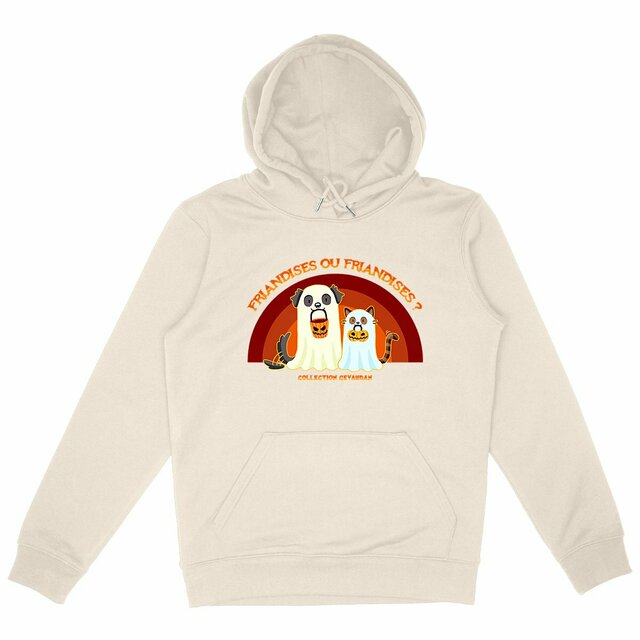 Image front Hoodie Friandises ou Friandises