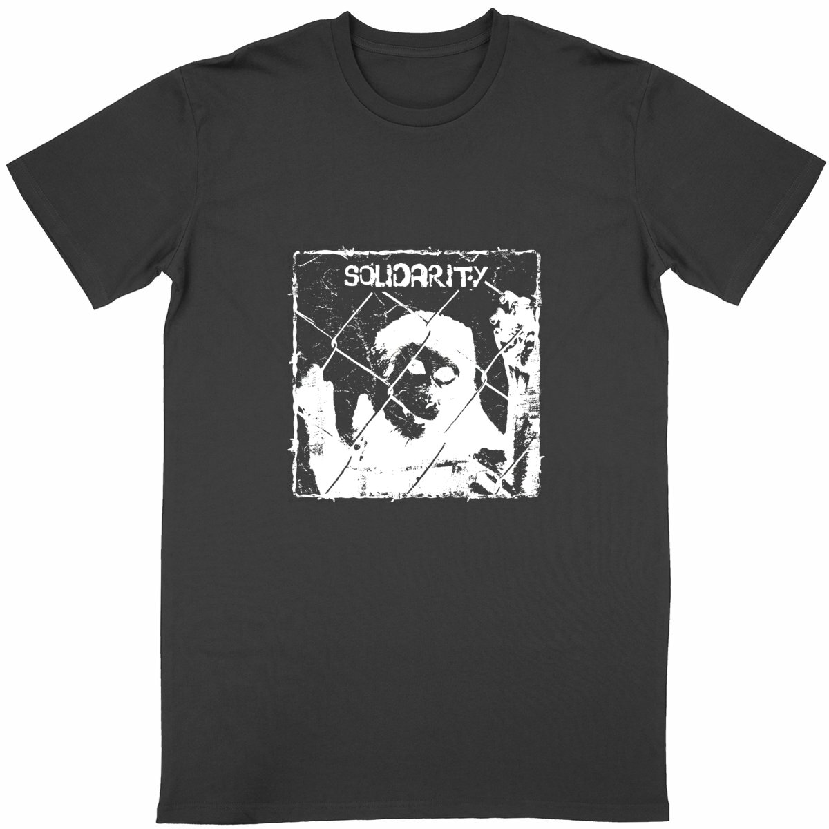 "Solidarity" t-shirt