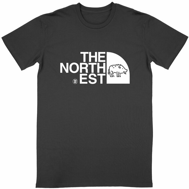 Image back Tshirt The North Est